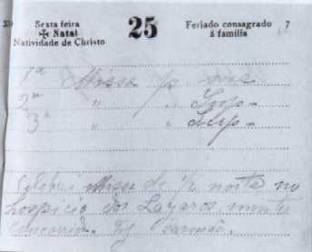 Pagina del Diario